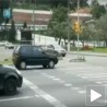 Чувари зебре у летњем периоду