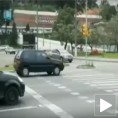 Чувари зебре у летњем периоду