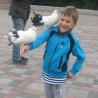 Рашка за Илију