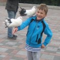 Рашка за Илију