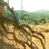 Ни пута ни куће