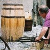 Од злата јабука