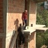 Солидарност у Лебану