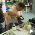 Успех удружених обућара