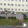 Природна селекција