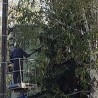 Штитили водове, уништили дрвеће