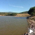 Ешерихија у језеру код Врања