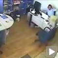 Нова систематизација
