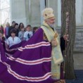 Епископ канадски Георгије на југу Африке