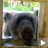 Лоше навике у исхрани
