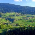 Златна јесен на златарским пољима