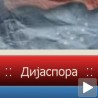 Дијаспора у "сајбер" простору
