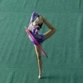 Првенство у ритмичкој гимнастици