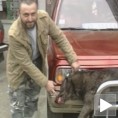 Ловци устрелили вука