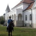 Дворци Војводине: Деца деветнаестог века