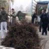 Субвенције за воћаре
