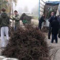 Субвенције за воћаре
