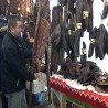 Еко караван: Живо село  -  Мачкат