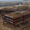 Мамут се сели у Виминацијум