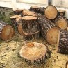 Безбедност или немар?