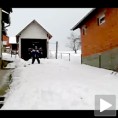Делфин стил