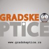 Градске птице: Шумска сова