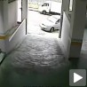 Радост за лимаре!