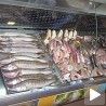 Кувана или печена риба нема паразите