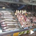 Кувана или печена риба нема паразите