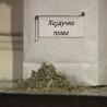 Повратак природи