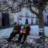 Пут свиле