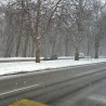 Снежно пролеће