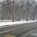 Снежно пролеће