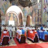 Директан пренос са Опленца