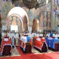 Директан пренос са Опленца