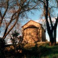 Од злата јабука