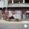Тарзан у бетонској џунгли