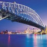 Роботи чисте чувени мост у Сиднеју