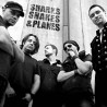 “Sharks, Snakes & Planes” на зидићу ДОБ-а