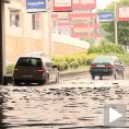 Скопље, невреме ломило дрвеће 