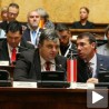 Глас српске дијаспоре слабо се чује