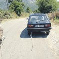 Возач нема, ал' магарац душу има