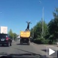 Убише бамбијевог тату