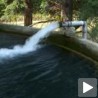 Ускоро нова фабрика воде