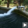 Ускоро нова фабрика воде