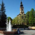 Избори у Врбасу 13. октобра