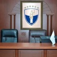 Закон о амнестији у складу са уставом