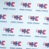 Боровић: За комбинацију струке и искуства