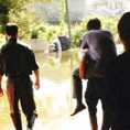 Не да сељак да се директору испрљају ципеле