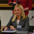Мишчевић: Уводни скрининг о надзору буџета